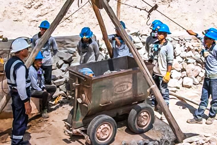 PLANTA DE MENOR ENVERGADURA